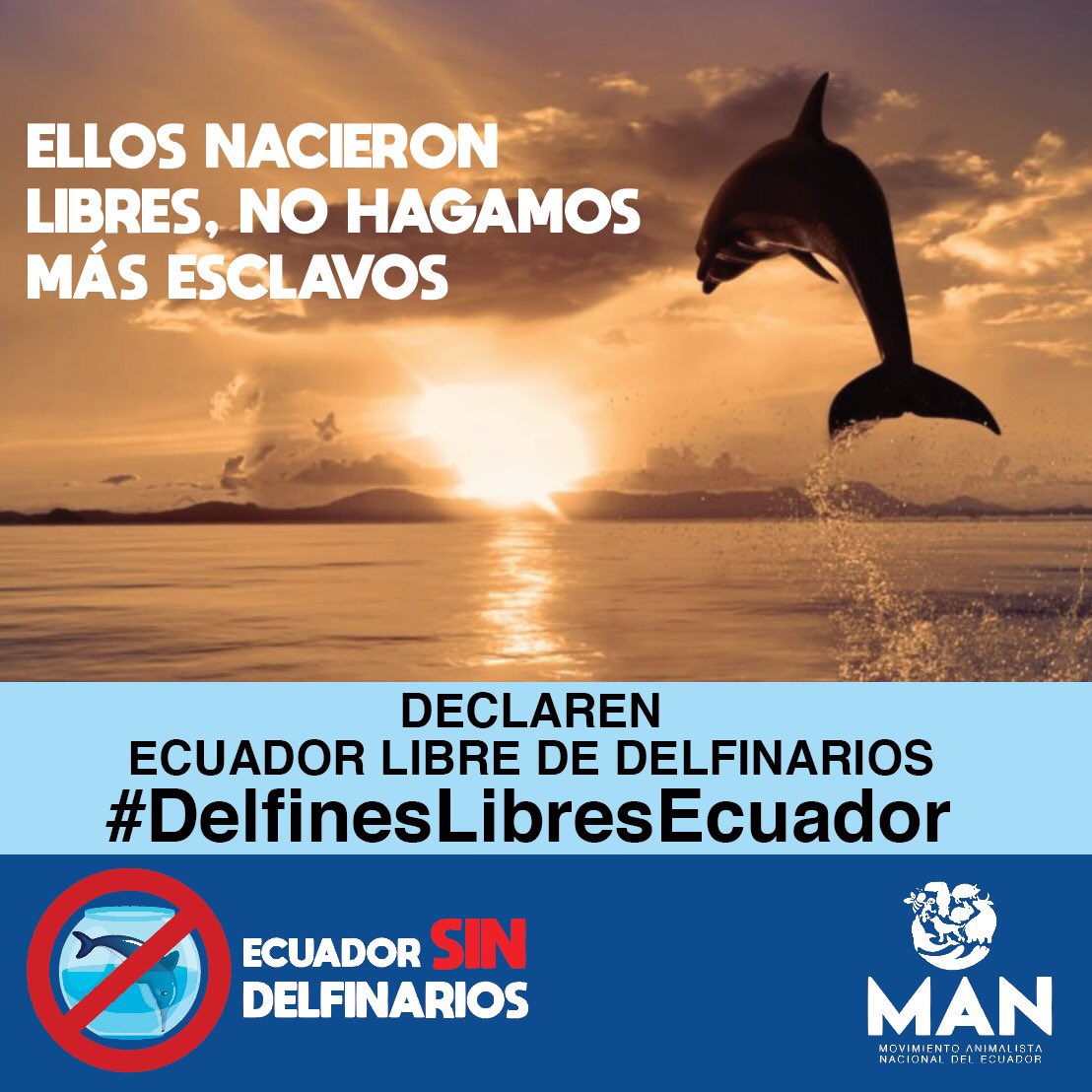 Exhortamos al Gobierno y @Ambiente_Ec para que fortalezcan políticas que IMPIDAN el uso de animales silvestres y exóticos, sobretodo los que están en peligro de extinción y especies marinas, para fines lucrativos y de entretenimiento fuera de su habitat. #DelfinesLibresEcuador
