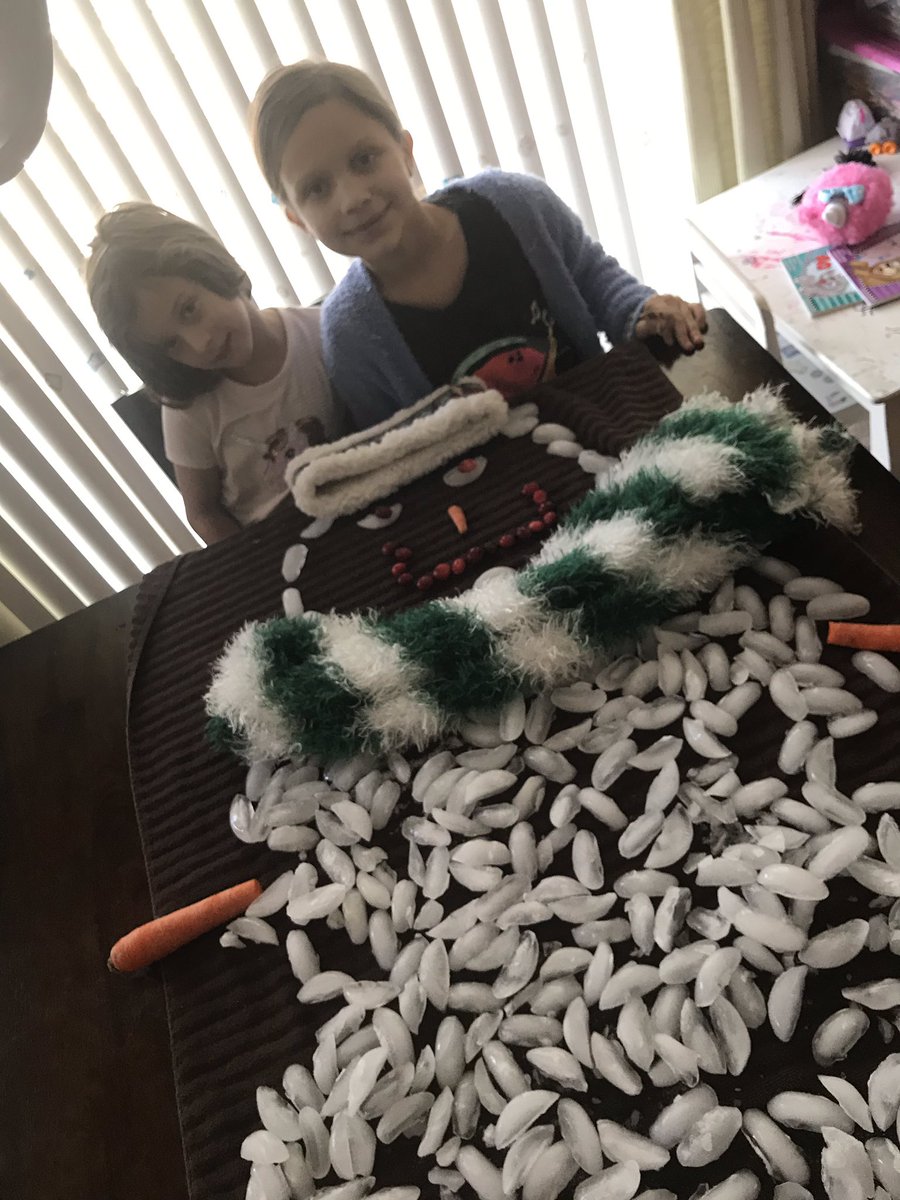 AllysonL478's tweet photo. @LLEWIXOM  Our ice cubes are not shaped to build a tower so we created a “flat snowman” out of ice.  #LLECREATES https://t.co/qKQYYlevEq