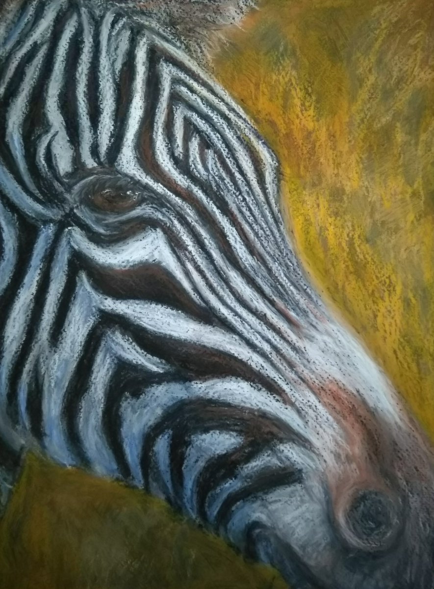 It's International Zebra Day today! 🦓 'Grevy's Zebra'. Sketch in oil pastels on pastel paper, 24x30cm.
#InternationalZebraDay #zebra #ZebraDay #grevyszebra #zebraart #endextinction #artforconservation #oilpastel #sketch #drawing #pastel