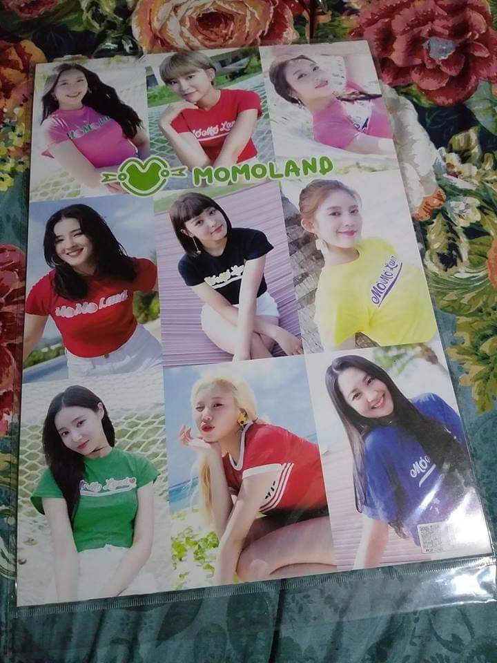 PopCrafts's tweet photo. #kpopmerch
# momoland 

Blackpink poster for sale !!!
For your inquiries just pm us 😊 https://t.co/VAy5IQ8DHr