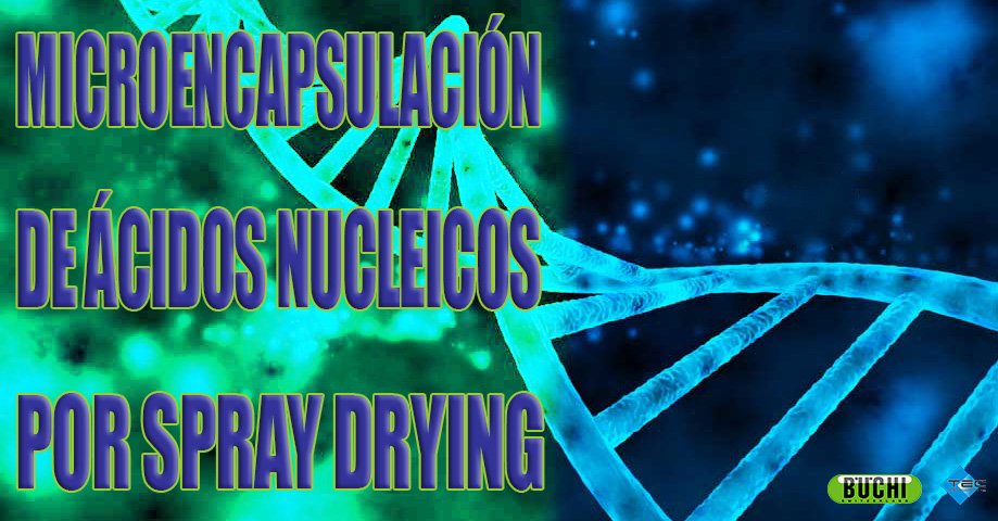 tecinstrumental's tweet photo. Excelente guía de aplicación de @buchilabeqpt para el sector farmacéutico y de biotecnología. Secado por pulverización aplicado a la encapsulación de ácidos nucleicos.
➡ https://t.co/YIOflJ48y5
#TerapiaGénica #ÁcidoNucleico #Biotecnología #IndustriaFarmacéutica #SprayDry https://t.co/Xy87ycUlRY