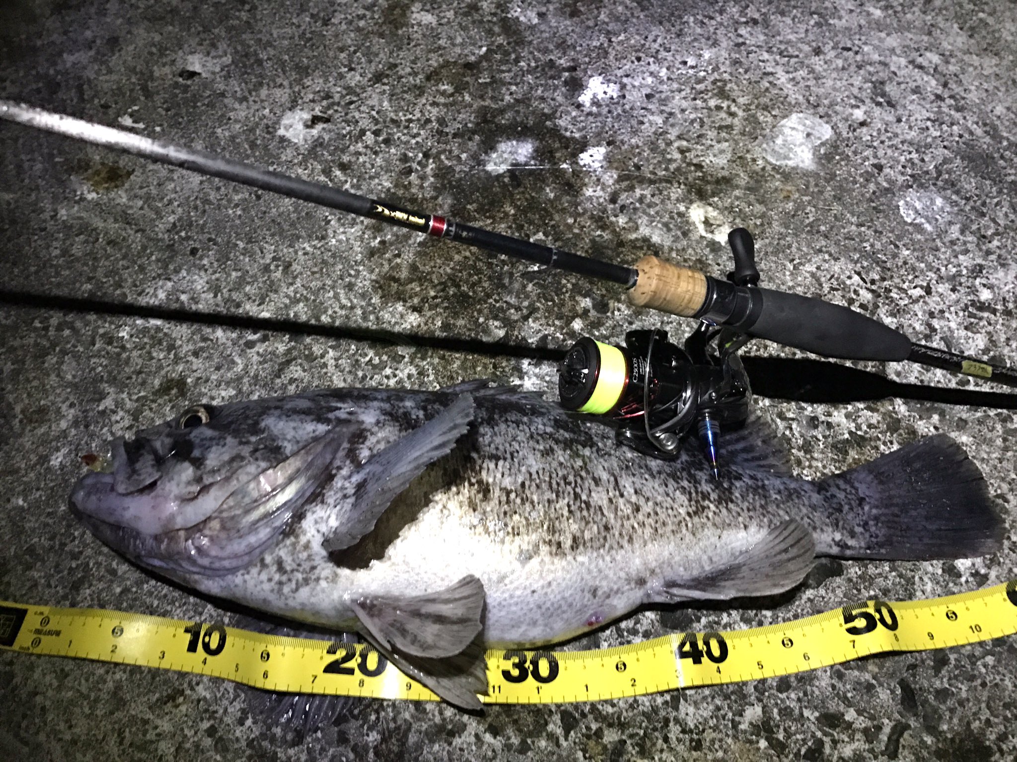 インクスレーベル Bee Tesller 2nd ビーテスラー2nd インクスレーベル