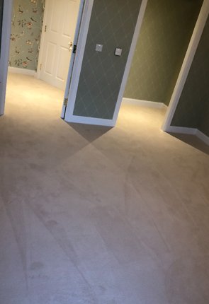HertfordFloor's tweet photo. We hv been very busy this month @HertfordFloor  We wanted to show you this lovely @WestexCarpets (in the Westend range)...The colour is ivory &amp; we fitted this for one of our Hertford customers. #westexcarpets #hertfordapartments #hertfordflooring #middletohighend #westendcarpets https://t.co/wpSnrwTX1e