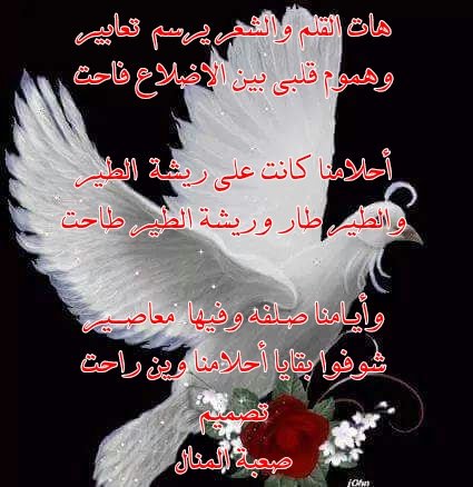 وهموم قلبي بين الأضلاع فاحت