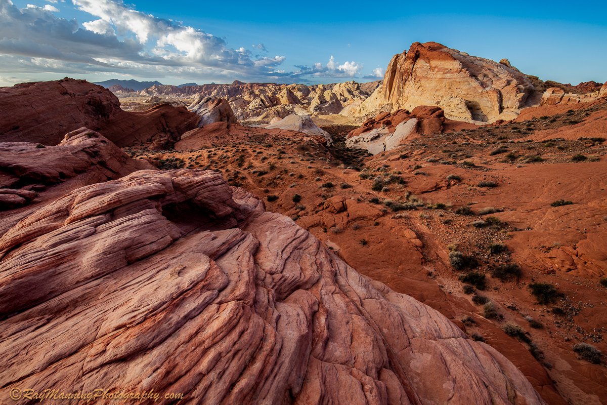 Valley of Fire

One of the gems of the Mojave desert is Nevada's Valley of Fire State Park. Established in 1935 and covering 40,000 acres, the park is renowned for it's red Aztec sandstone and contrasting limestone.

#DesertScape #Landscape #ValleyofFire #mojave #ThePhotoHour
