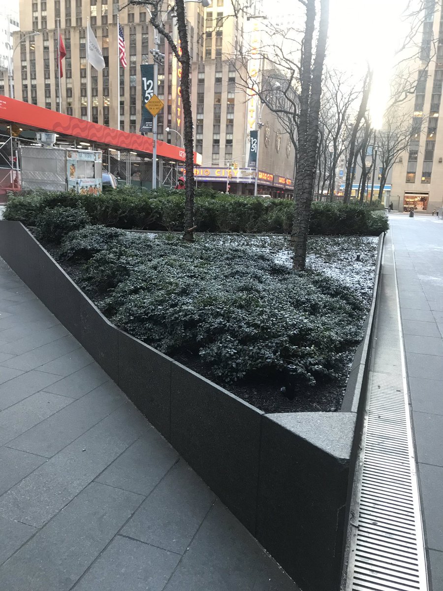 stinkIAM's tweet photo. #polarvortex2019 okay. Itโs #EffingCold making me where I grew up @MiamiDadeCounty miss home @MiamiHurricanes #NYC https://t.co/bW2iA61EZ1