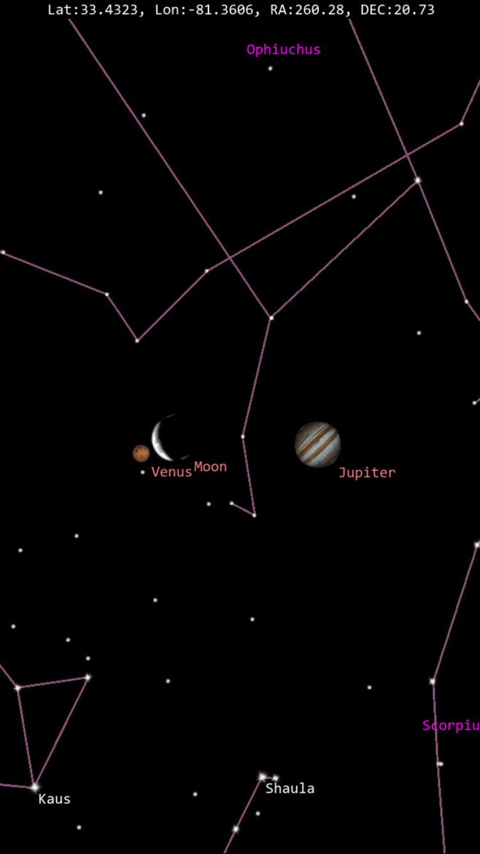 Jamie Fields tweet media
