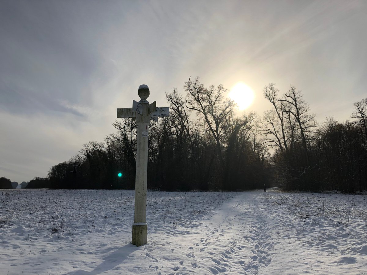 otcompiegne's tweet photo. #JeudiPhoto
Se balader dans le parc, avec la neige et le soleil, les oiseaux qui chantent, les enfants qui jouent... C'était un moment parfait à immortaliser ! 🥰
Voici un petit échantillon des photos que nous avons prises hier ! 📸
#Compiegne #CompiegneTourisme #Hiver https://t.co/BviMcLgfOX