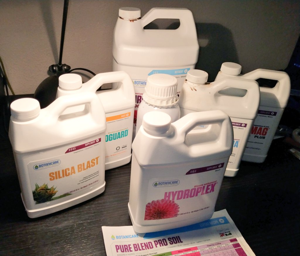 Green Test tweet media