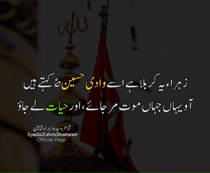 11097Ali's tweet photo. سلام یا حسین ع _______ ❤️ https://t.co/4TS3tbooxA