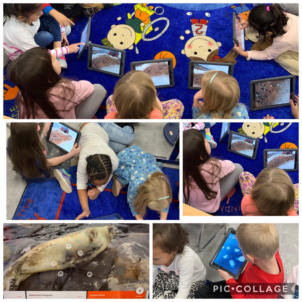 mrstannerkinder's tweet photo. We had so much fun on our virtual field trip exploring Antarctica through #GoogleExpeditons to enrich all our Penguin research before starting our informative writing samples on Penguins this week! @BCSDigitalLearn @GoogleForEdu https://t.co/GOJ7fmAnkW