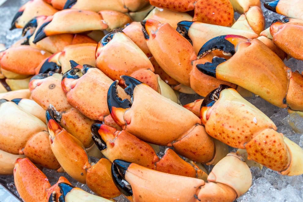 OCsGHTB's tweet photo. Vote for us in the @10Best @USATODAY Best Stone Crabs 🦀 in Florida! You can vote once a day!
https://t.co/A55cXgMUNg #ocs #ghtb #worldofhyatt https://t.co/66ors50ar9