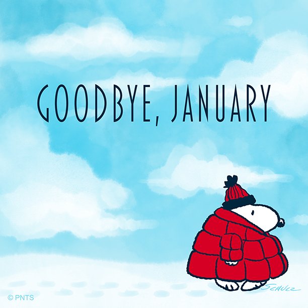 Image result for goodbye january