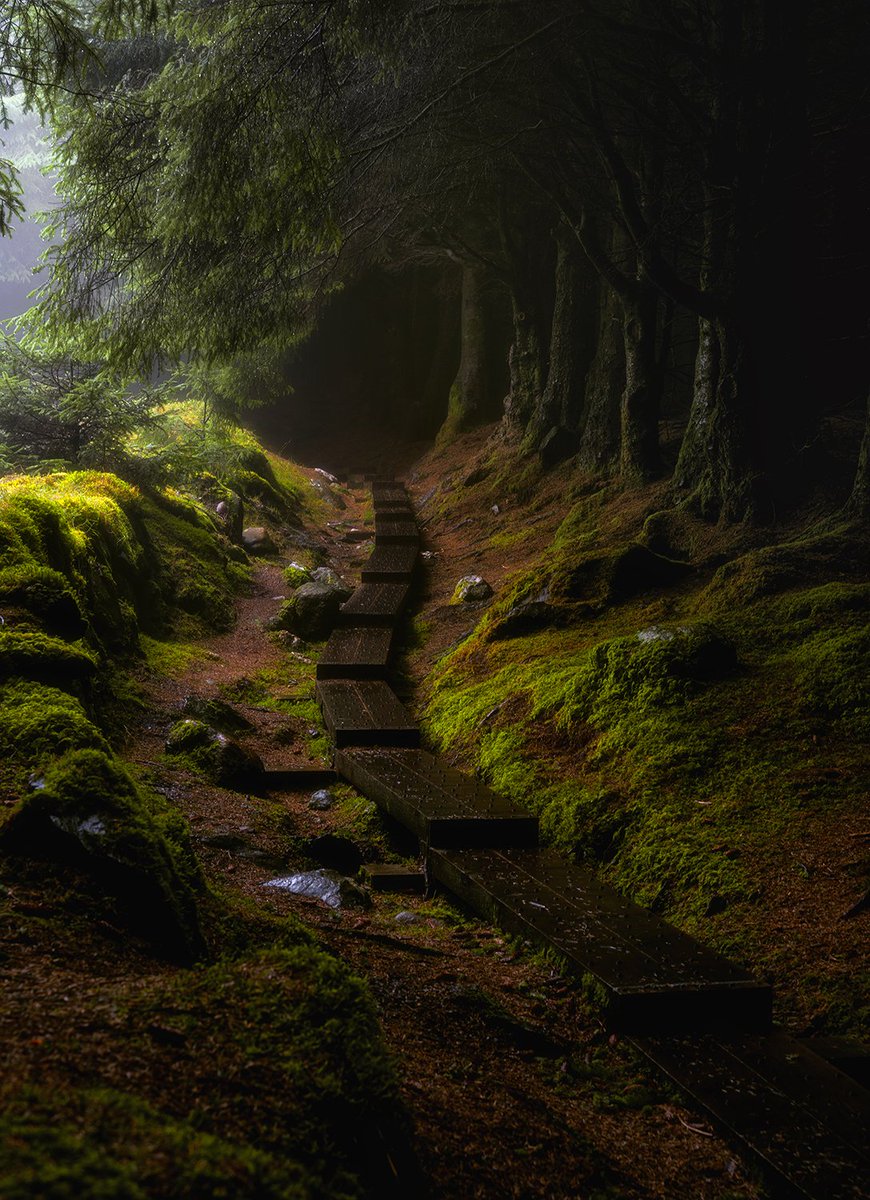 Get Lost in #Ireland