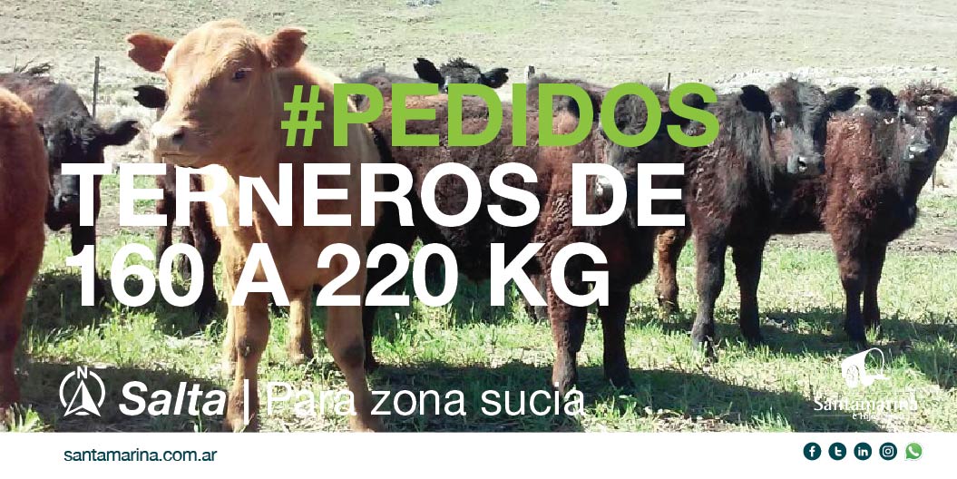 Santamehijos's tweet image. #Compramos #terneros
💥¡Atención Salta! 
😎 Interesados, contactarse por privado
santamarina.com.ar