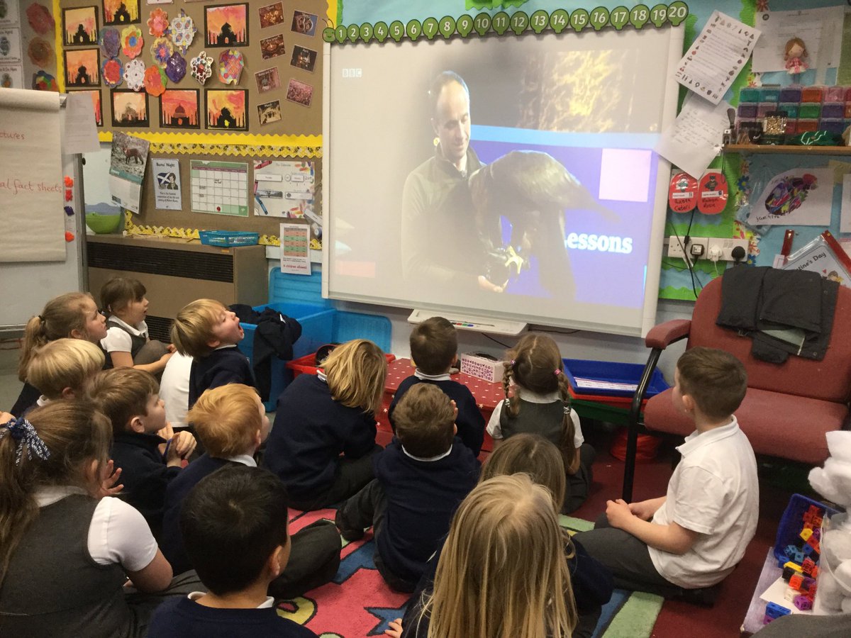 halwinhead's tweet photo. We love Tilly the Golden Eagle! We are really enjoying seeing the different habitats and winter adaptations. @BBCSpringwatch #Winterwatch https://t.co/NwFWvIaJBS