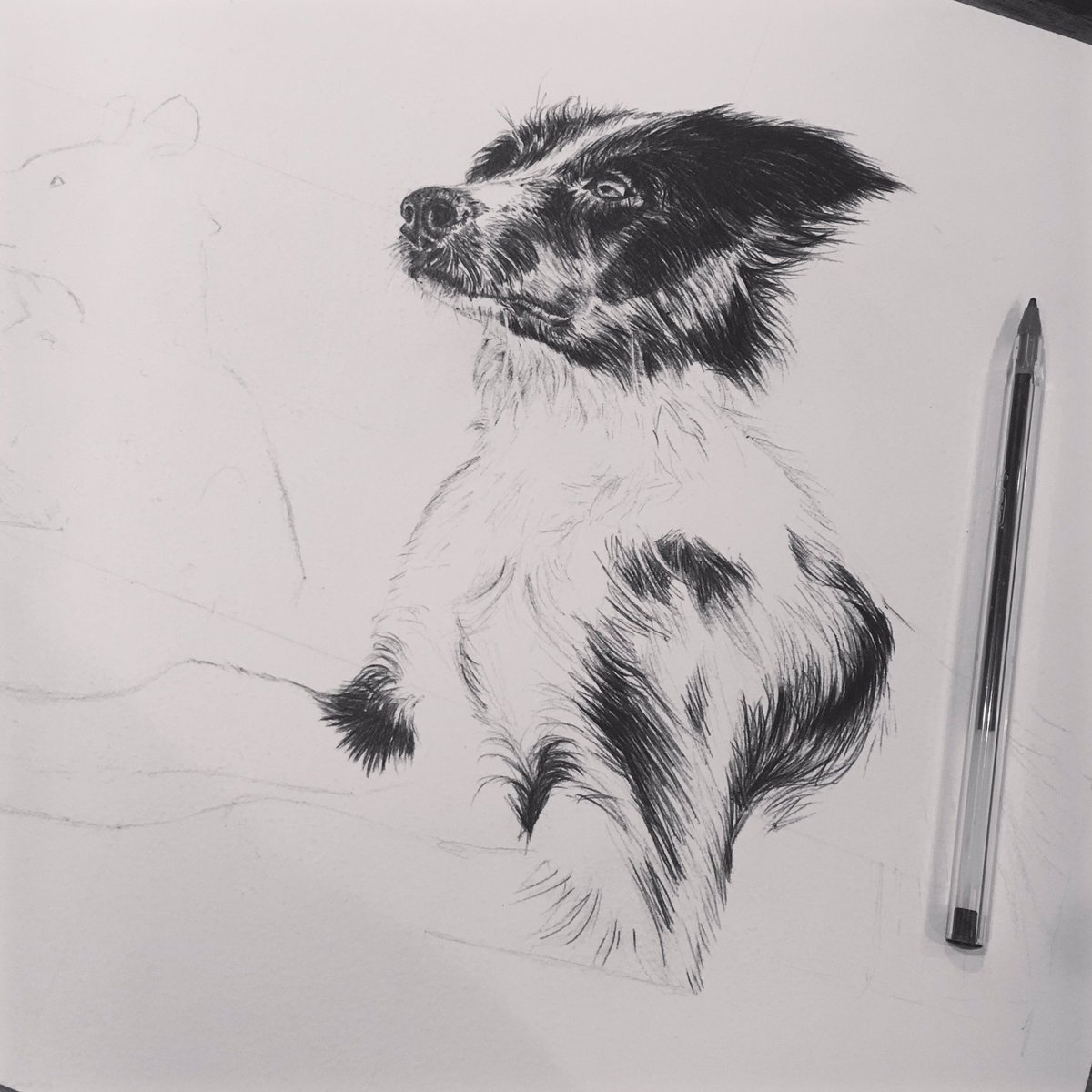 Lisa_Reason's tweet image. Commission work in progress 🐶 all the money from this piece will be going to my @MytonHospices fund so if you’ve got an idea for a piece, drop me a message!