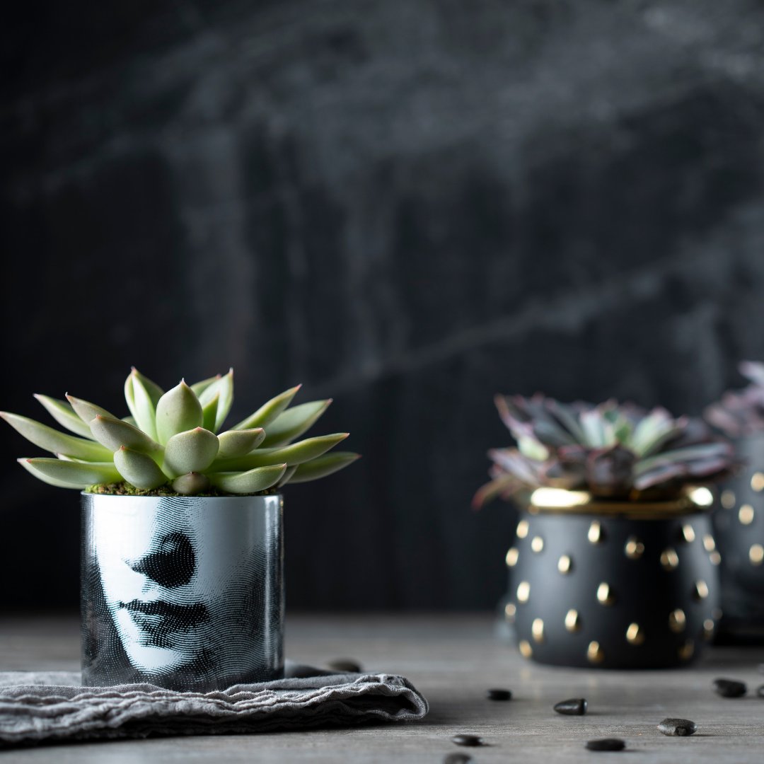 LiveTrends Design tweet media