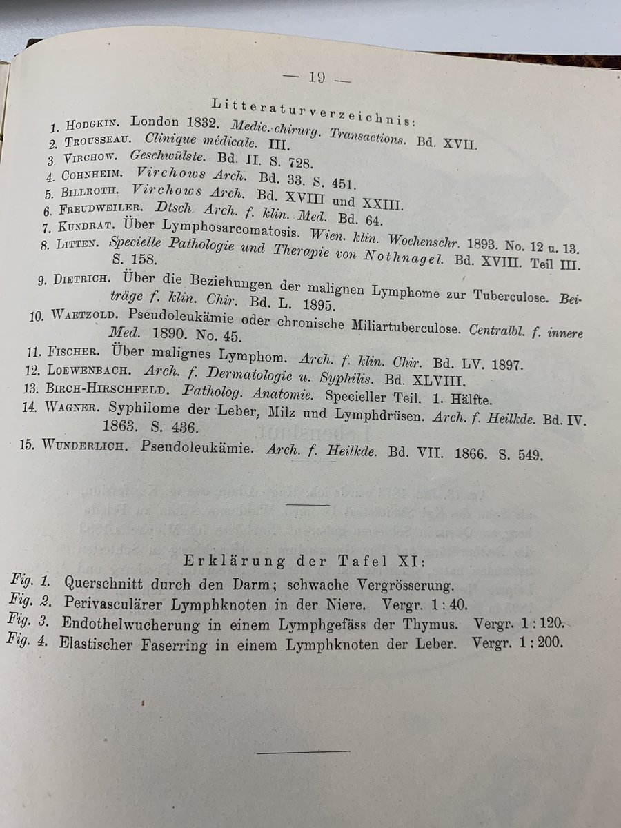 Das Literaturverzeichnis einer 19seitigen Dissertation anno 1899