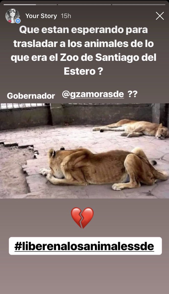 Alguien sabe si hubo algún cambio con respecto a los  animales abandonados del ex zoológico de Santiago del Estero? Luego que se sepa su mal estado , las autoridades actuaron? O sigue todo igual? #LiberenALosAnimalesSDE
