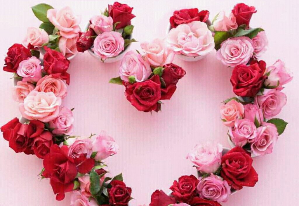 #Valentine's Day 
Get in touch with us