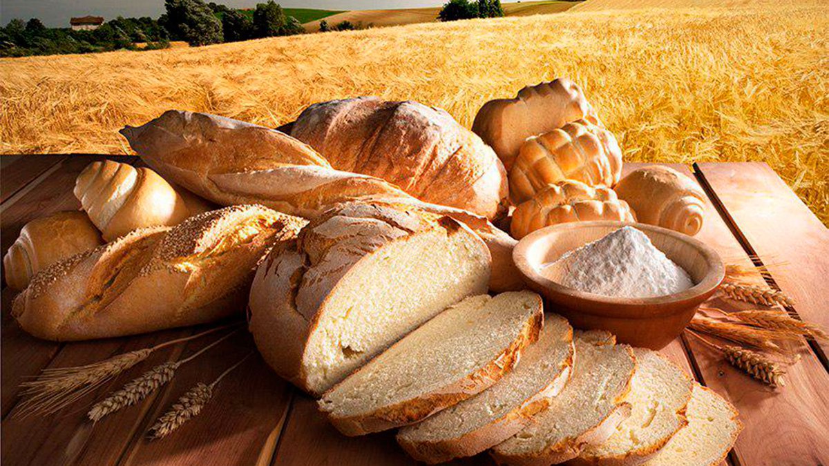 El pan es un alimento saludable muy importante en la gastronomía a nivel mundial 🥖

Descubre cuáles son los tipos de pan más famosos, sus beneficios y cómo incorporarlos a la dieta 👇 <a href="/Pancadadia/">Pan Cada Día</a> #pan 

➤ bit.ly/cada-pan-es-un…