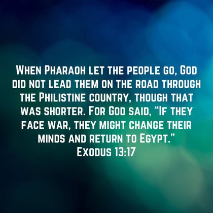 SaltChurchVB's tweet image. 