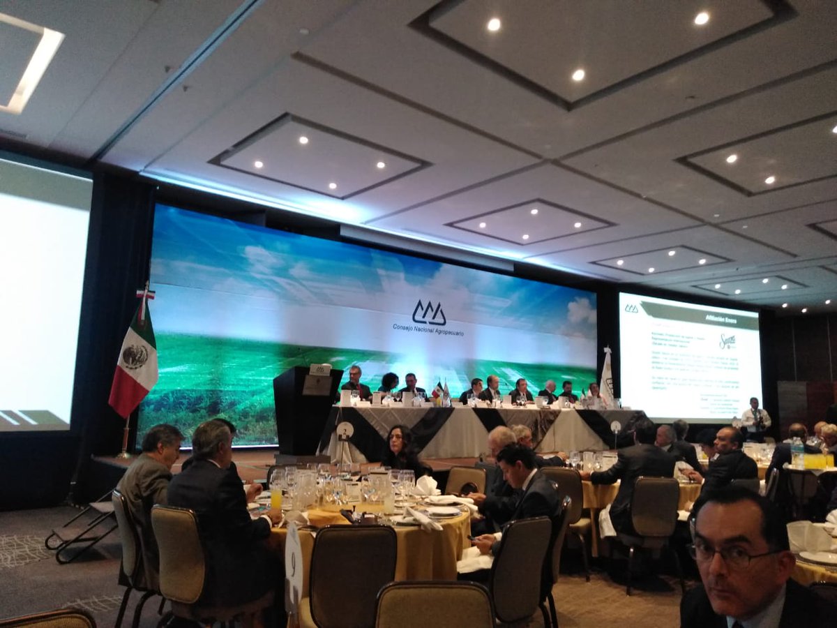 ConfederacionM's tweet photo. En el marco de las reuniones mensuales del @CNAgropecuario , la Confederación de Porcicultores Mexicanos planteó la agenda sanitaria para la Porcicultura Mexicana @CaramJose1 . Agradecemos a @SENASICA la apertura. @JavierTrujillo https://t.co/t81nkekgxi