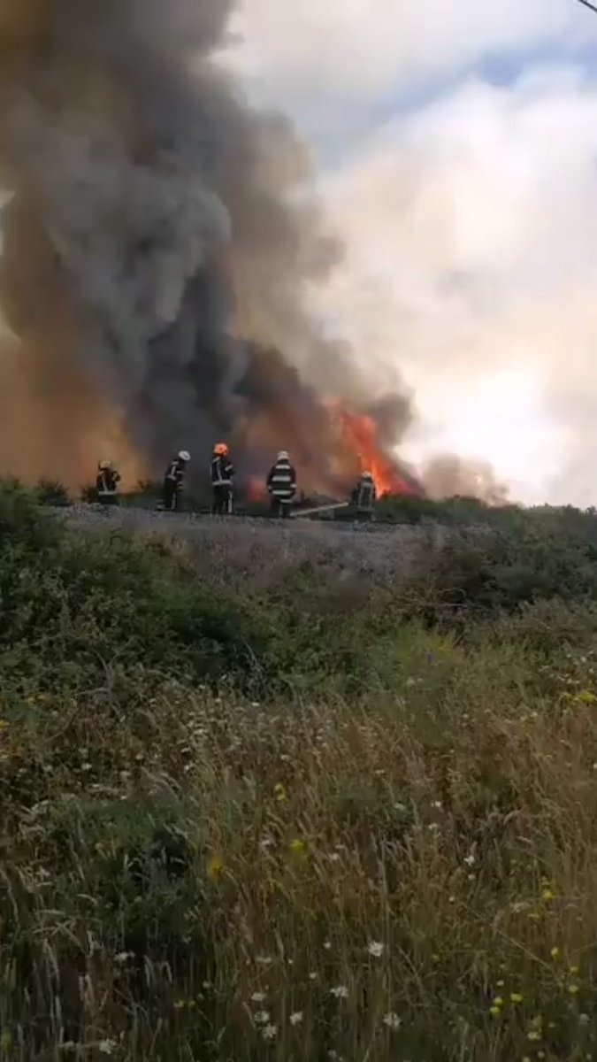 ReportSurAustra's tweet photo. #PuertoMontt #LosLagos #Bomberos #Emergencia #Incendio #Canaf AHORA Bomberos y Conaf trabajan en varios punto de Puerto Montt por quema de Pastizales con peligro de propagación https://t.co/G6TIDbktZD