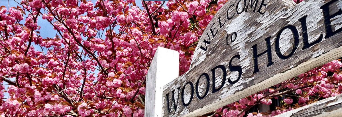 JDRFCVC's tweet image. LIVE AUCTION PREVIEW: Enjoy a week stay in Cape Cod at this 5-BR modern beach house, just a short walk to Woods Hole village and Stony Beach. This newly renovated home, white and bright, provides magnificent views of Buzzards Bay from every room! #aneveningunderthestarsRVA