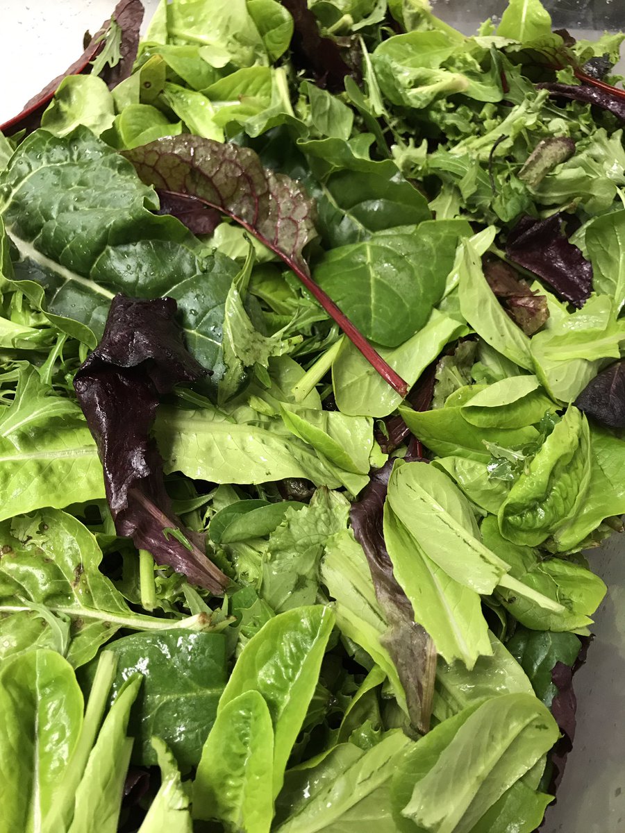 ATXtrinityChef's tweet image. Amazingly Fresh greens from the garden here @austintrinity ! Just brought to the kitchen from the garden ! #local @FlikISDining