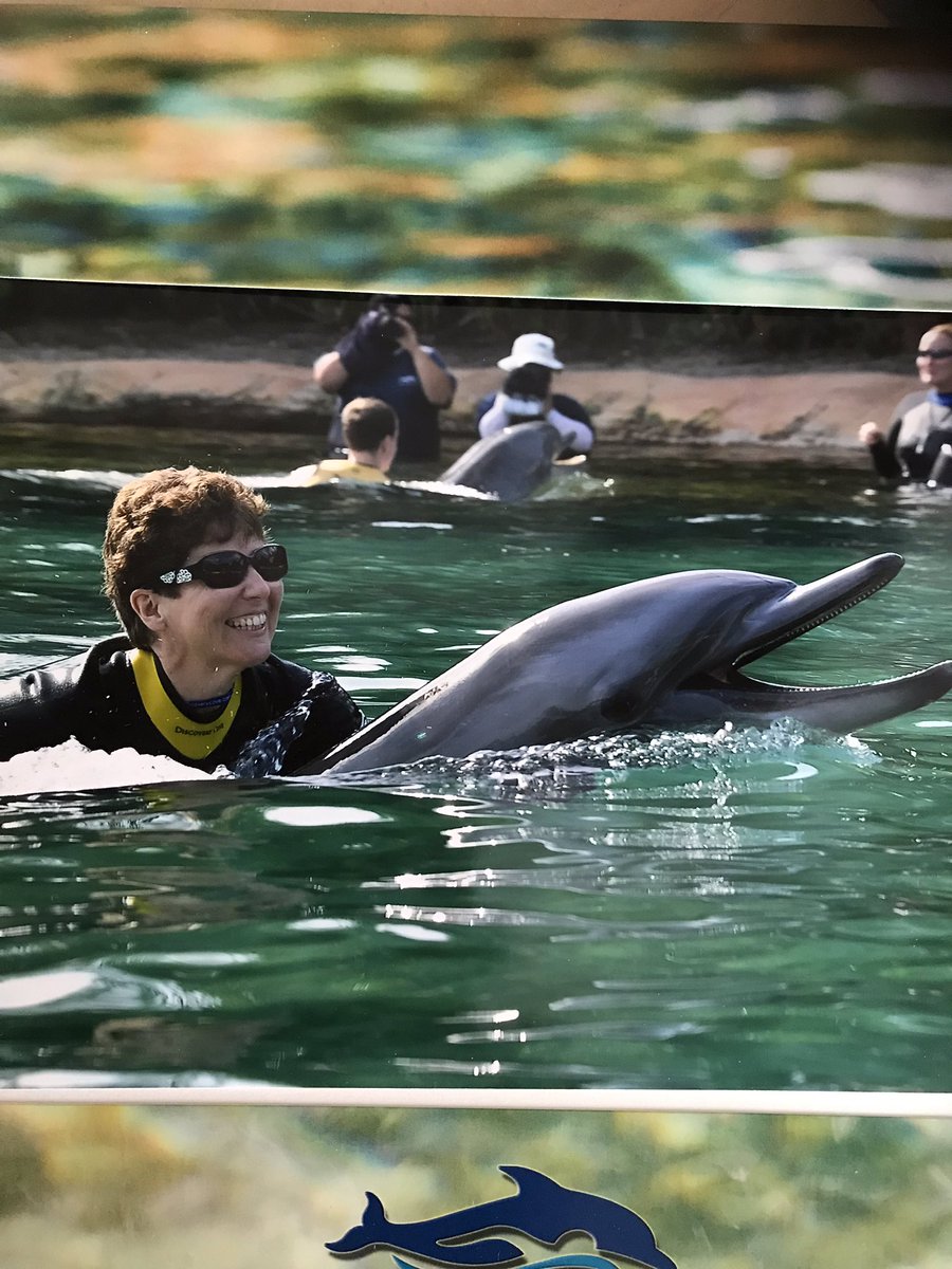 PBC2131's tweet photo. Throwback Thursday- Discovery Cove dolphin experience! Missing those warm temps right now- @pmcatud @MKKelly8691 @janetddalton @KristaCrum @KimFowlerFox https://t.co/Octm1i2Jz9