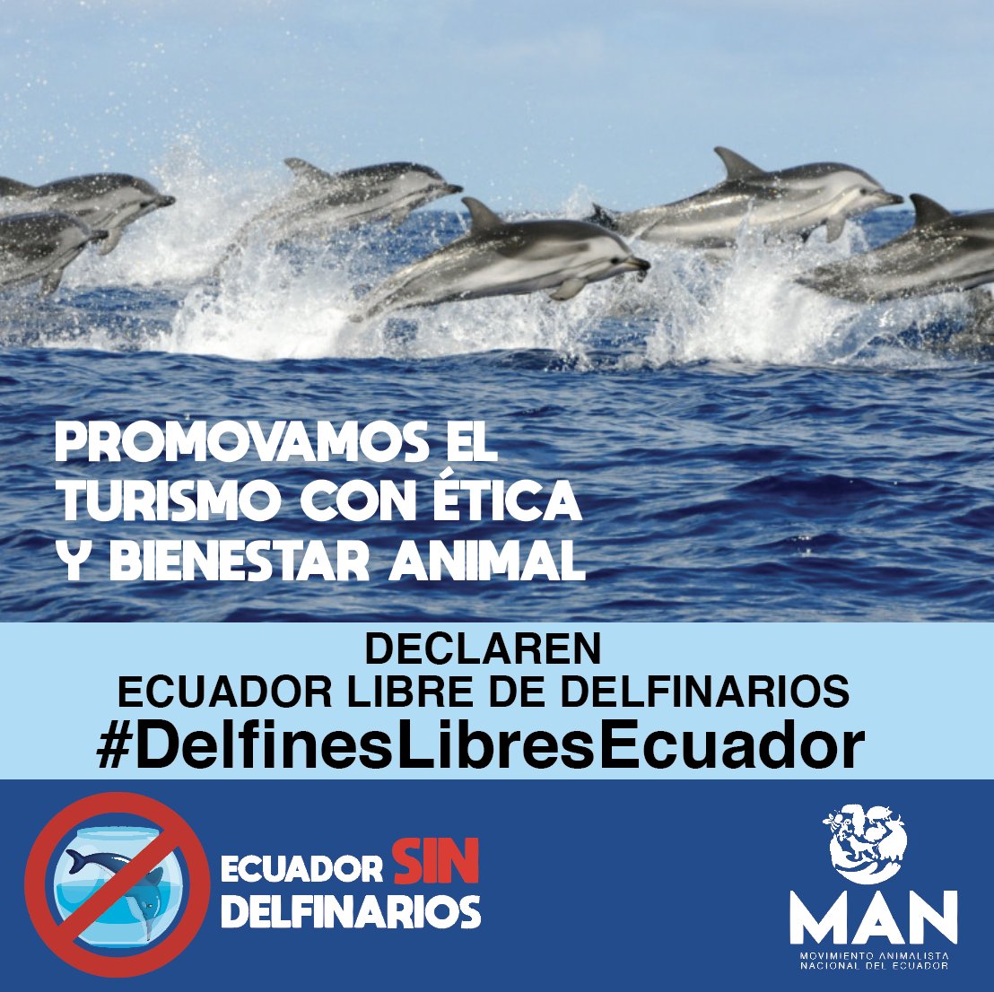 Promovamos una forma ética de turismo de observación de delfines sin necesidad de promover su cautiverio, <a href="/AsambleaEcuador/">Asamblea Nacional</a> que no se repita la insensatez del Chato con las jirafas de Loja. #DelfinesLibresEcuador <a href="/TurismoEc/">Viceministerio de Turismo Ecuador 🇪🇨</a> @Ambiente_Ec