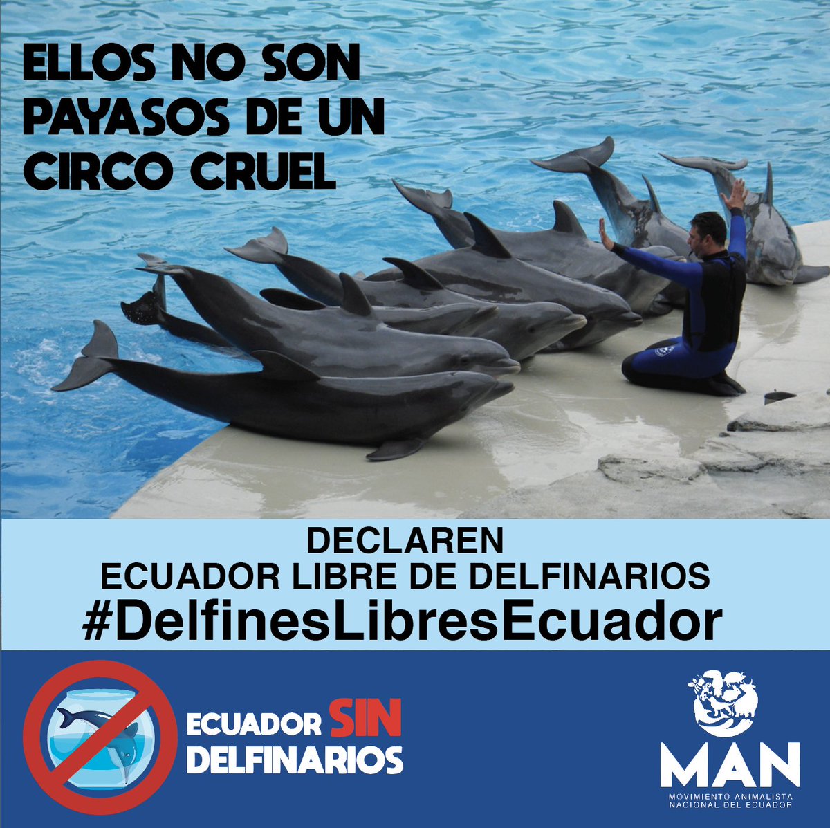 El truco es que lo quieren disfrazar como educativo y conservacionista cuando sabemos que encerrar estos seres en un cautiverio cruel es inmoral. #DelfinesLibresEcuador <a href="/AsambleaEcuador/">Asamblea Nacional</a> los exhortamos a manifestarse por la vida libre y para declarar a Ecuador libre de delfinarios