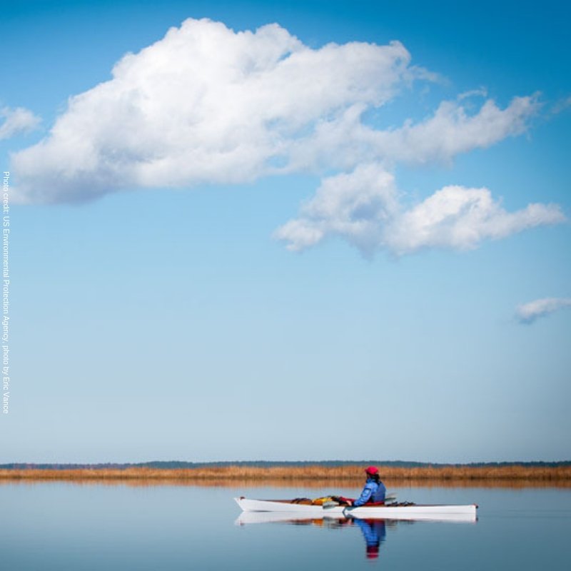 Museum on Main St tweet media