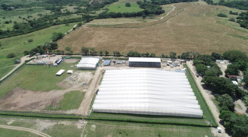 KhironLife's tweet photo. At Khiron, we understand that our actions generate an impact. 
 
Our advanced cultivation facility features a dripping soil irrigation system, which helps us save up to 70% water: 

https://t.co/7VQe8tLiuw #CannabisCommunity #KhironLife https://t.co/Z3JTMtc7ji