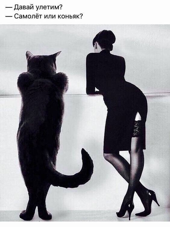 Ольга (@oliza13) on Twitter photo 