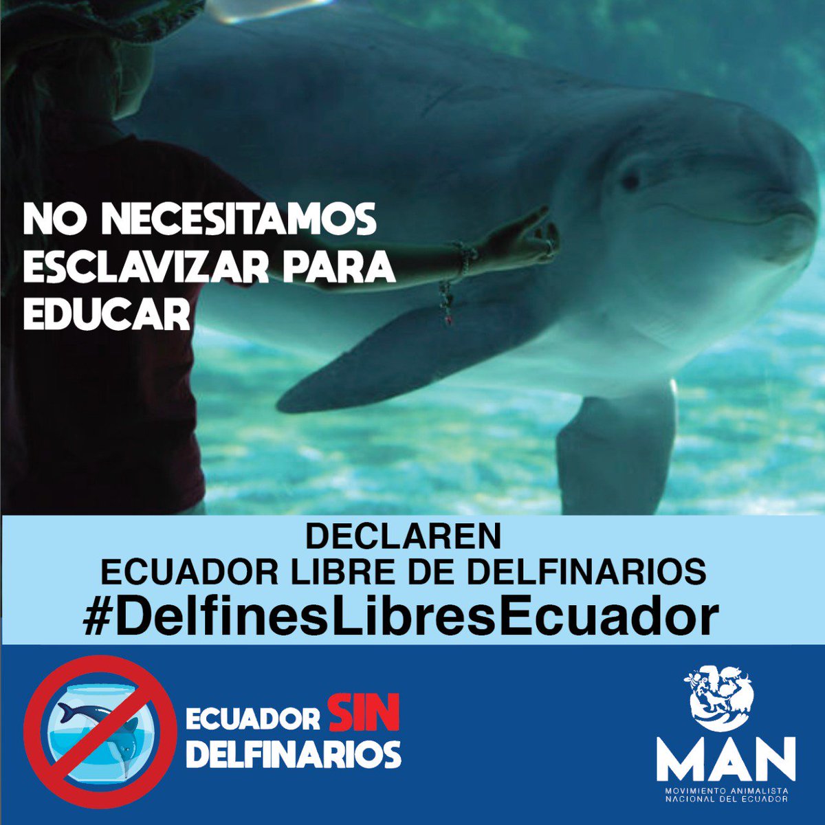 Educación? Qué se puede aprender de un animal en confinamiento? Que aún existe la esclavitud. Qué podemos vulnerar el derecho ajeno si eso reporta ganancias Qué podemos utilizar al vulnerable para nuestro beneficio Que Ecuador no ama la vida. 
<a href="/Ambiente_Ec/">ambiente_ec</a>
#DelfinesLibresEcuador