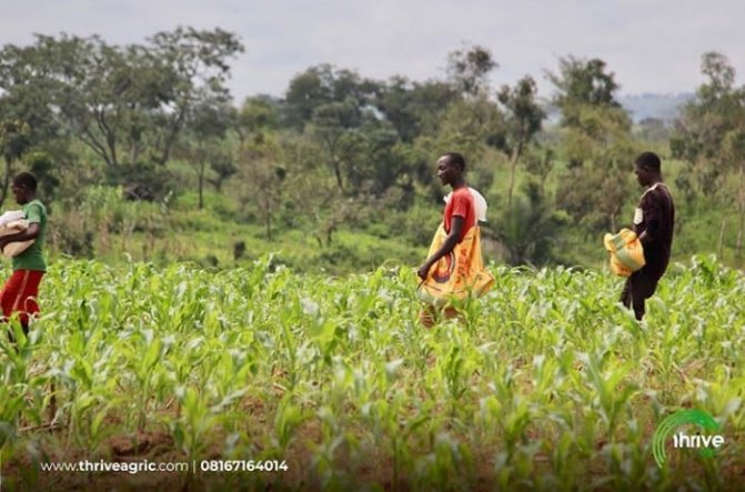 thriveagric's tweet photo. Y.O.U.T.H.S O.F G.U.R.A.R.A
-
80% of the male population of youths in Gurara participate intensely in Agriculture. They engage intensely in crop and livestock farming as a source of livelihood.
-
#thrivecommunities #thriveagric #agriculture https://t.co/CjwLAexgKK