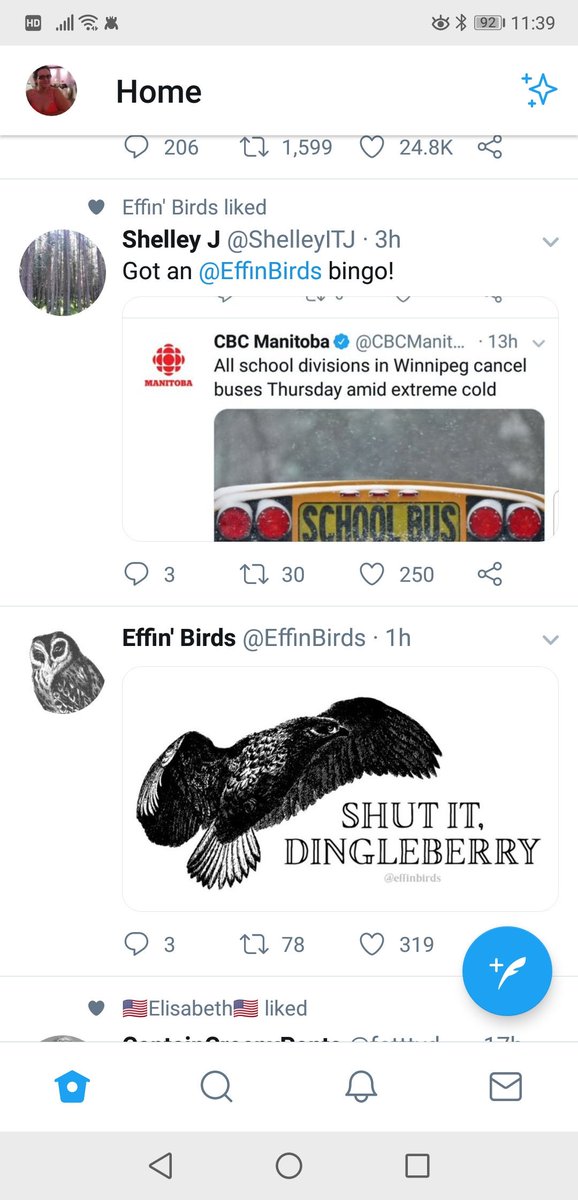 tashapana's tweet photo. Mines better @shellyitj @EffinBirds https://t.co/3YckA2RmtX