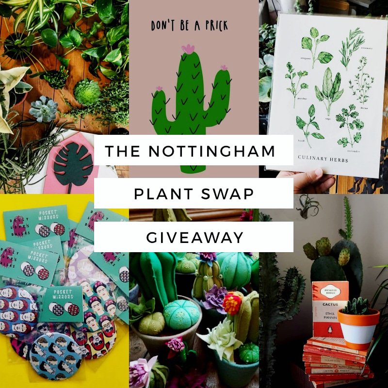 Head over to @sap_plants on Instagram to find out more about this Giveaway!