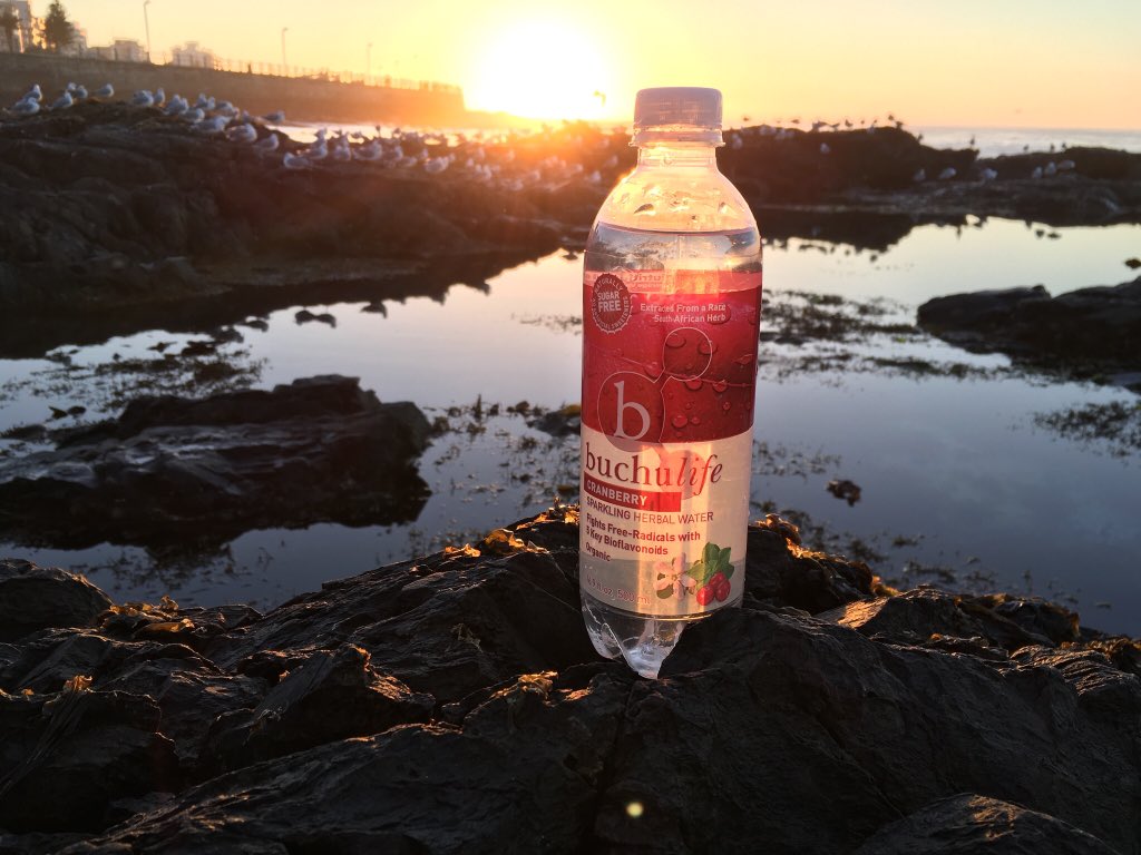 BuchuLife tweet media