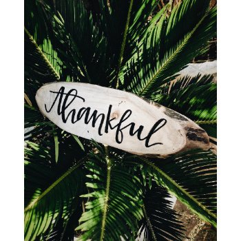 FLORAPADA's tweet image. // MERCI //
Vous êtes déjà 4000 à nous soutenir💕
Merci à tous pour votre soutien❤️