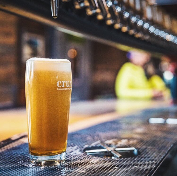 Easybar_bev's tweet photo. Ever wonder how bartenders manage to pour pints with the perfect amount of foam? We're revealing  how to pour the #perfectpint on today's blog: https://t.co/t8B1GjCX5G #draftbeer #craftbeer https://t.co/C8aQS0oYJ8