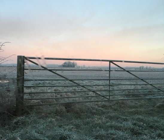 Beautiful scenes across the country today... but the cold is definitely here. Luckily we're indoors keeping toasty and warm, hope you are too!