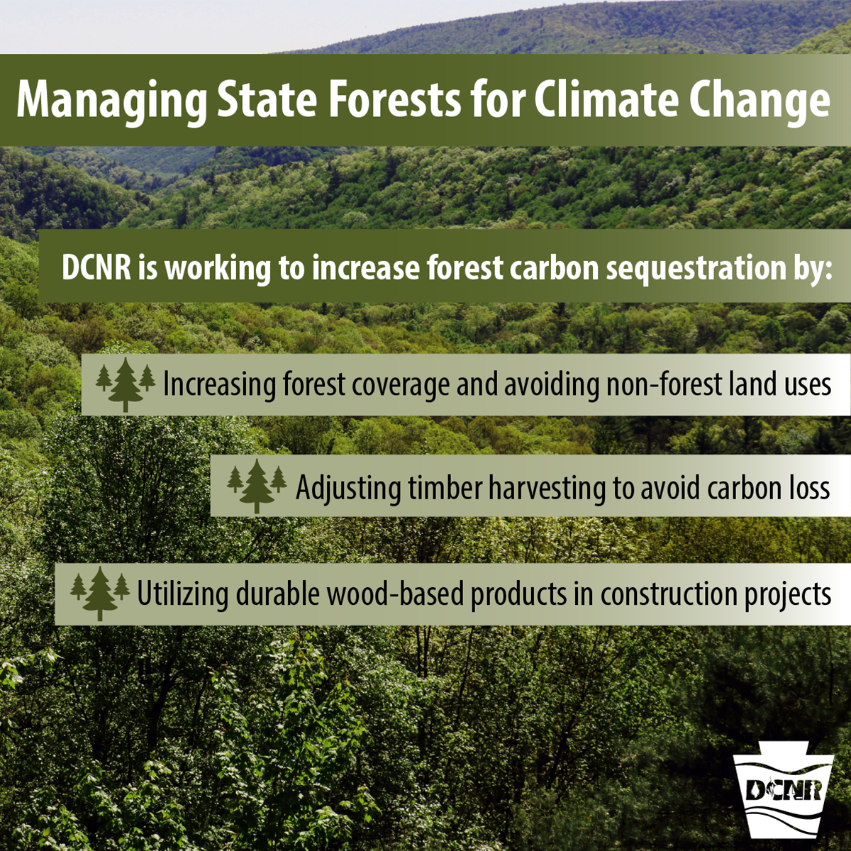 DCNRnews's tweet photo. Carbon dioxide emissions are a big contributor to #climatechange. #DYK that forests absorb & sequester a significant portion of carbon emissions? Their ability to absorb #CO2 is influenced by how we manage forest land, health, and tree diversity. #Sustainability #ClimateChangePA https://t.co/dlXgPtqmjH