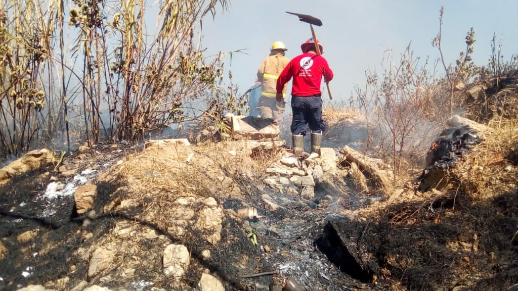 Mabera77Mario's tweet photo. Personal de @BomberosXoxo del @GobXoxo y @escuadronoram sofocan incendio de pasto cerca de la exgarita..se recomienda precaución debido al humo.  @ANXILI02LUNA @solonoaxaca @oaxacavial @RESSKT_049 @RescateOaxaca @PeatonVigilante @OaxacaInformada @daselua @caloabu https://t.co/nGsi4s9piw