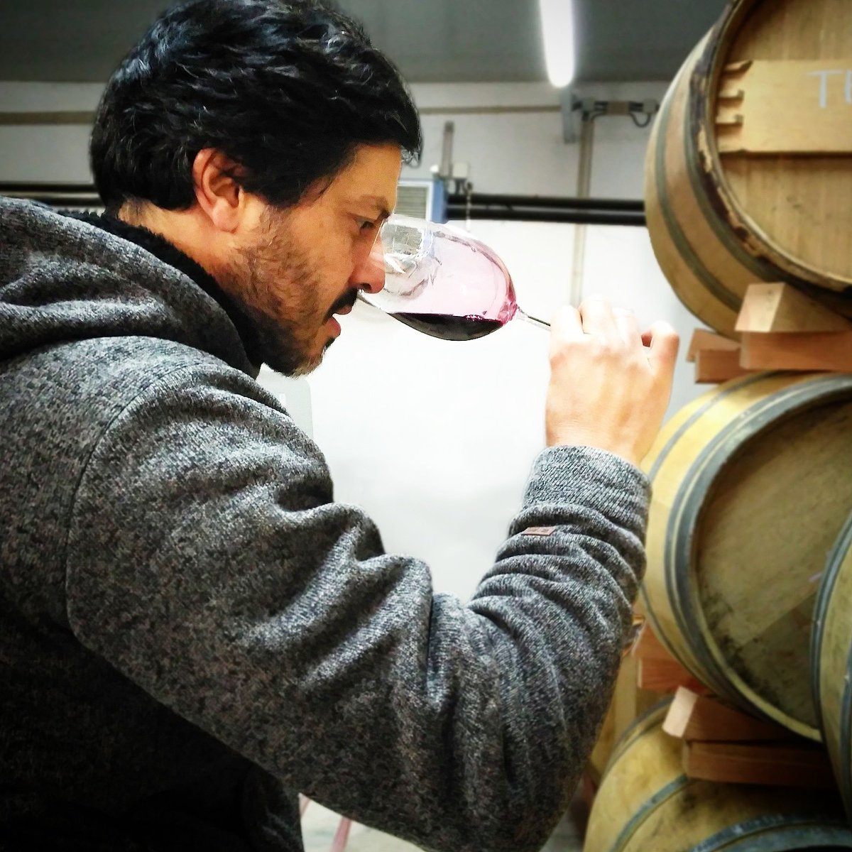 CascaWines's tweet photo. A nova colheita do Monte Cascas Biológico está quase pronta! 🐞🌱🍇

The new vintage of Monte Cascas Organic is almost ready! https://t.co/M80MheWCze