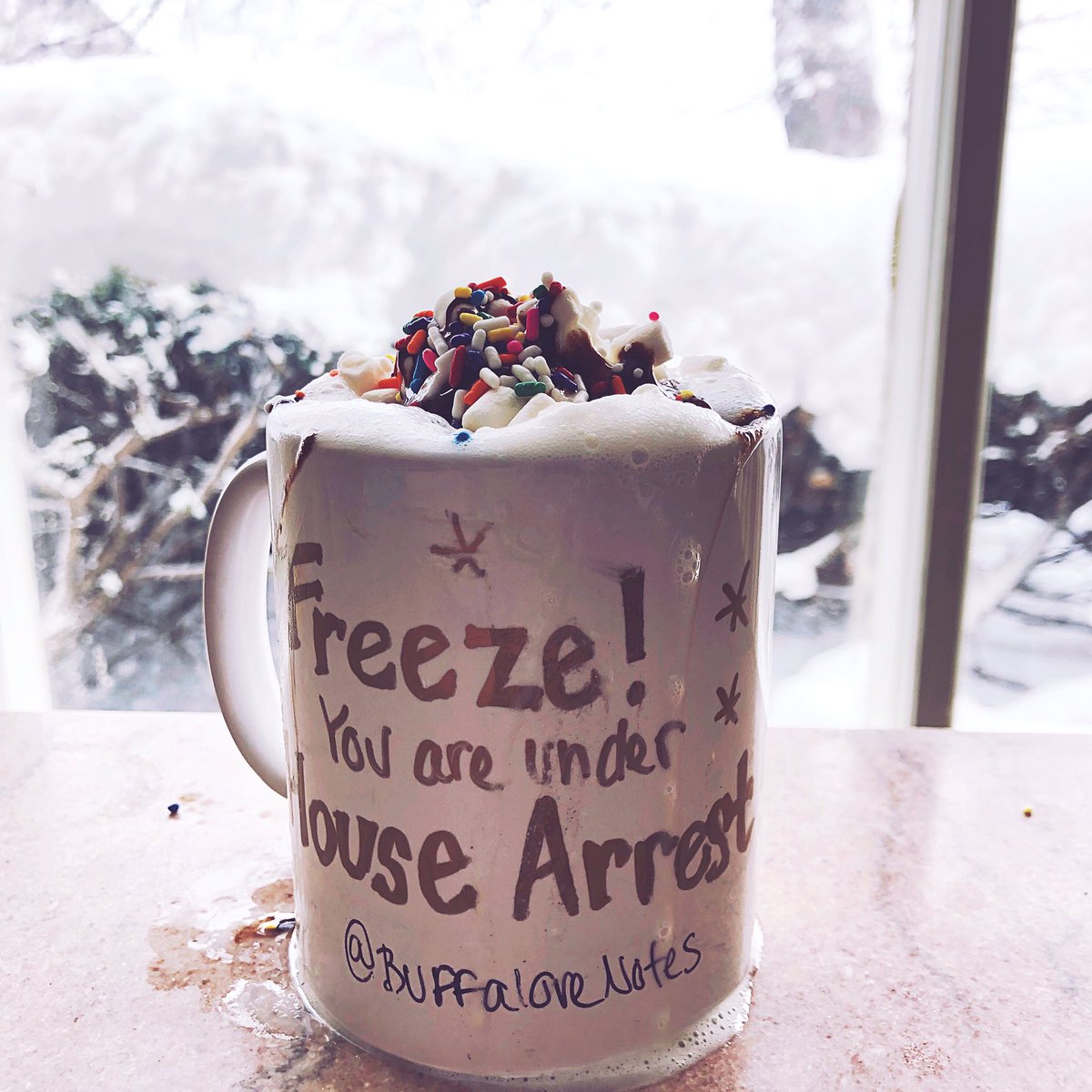 BuffaloveNotes's tweet image. Looks like our snow day correspondents are making the best of a sticky (quarantine) situation! #BuffaloveNotes #PolarVortex #Buffalo