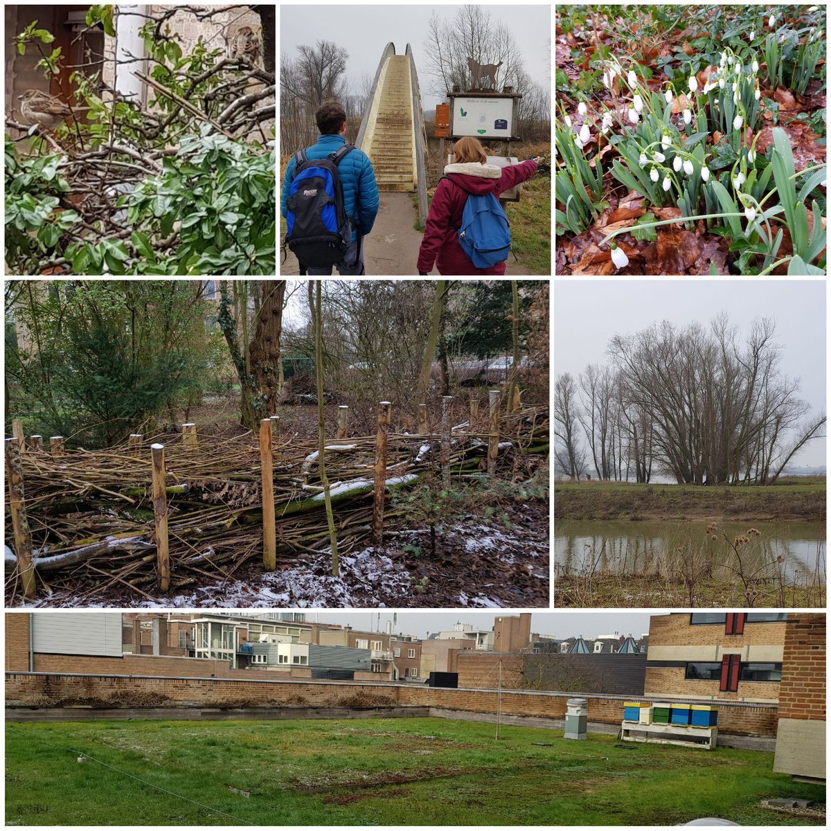 Stadsecoloog030's tweet photo. Werkbezoek #Nijmegen met @Florisenfauna
Vol met #huismus024 #riviernatuur #lente en inspiratie over klimaatadaptatie via @opsteenbreek en #greenchallenges uit de @greencapital18
(en 4 (oeps) heerlijke #chailatte :-) https://t.co/OUqoE4cchr